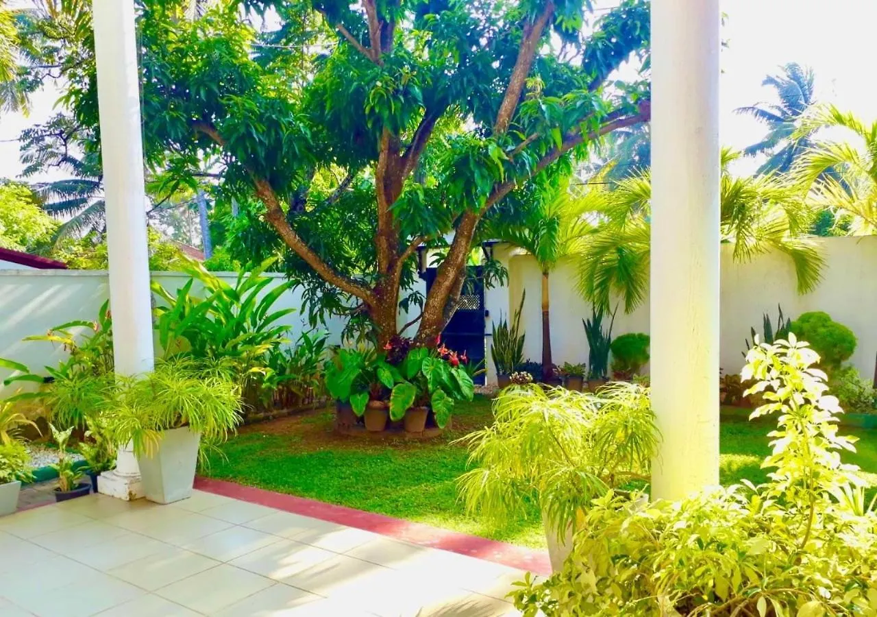 Ama Villa نيجومبو سريلانكا