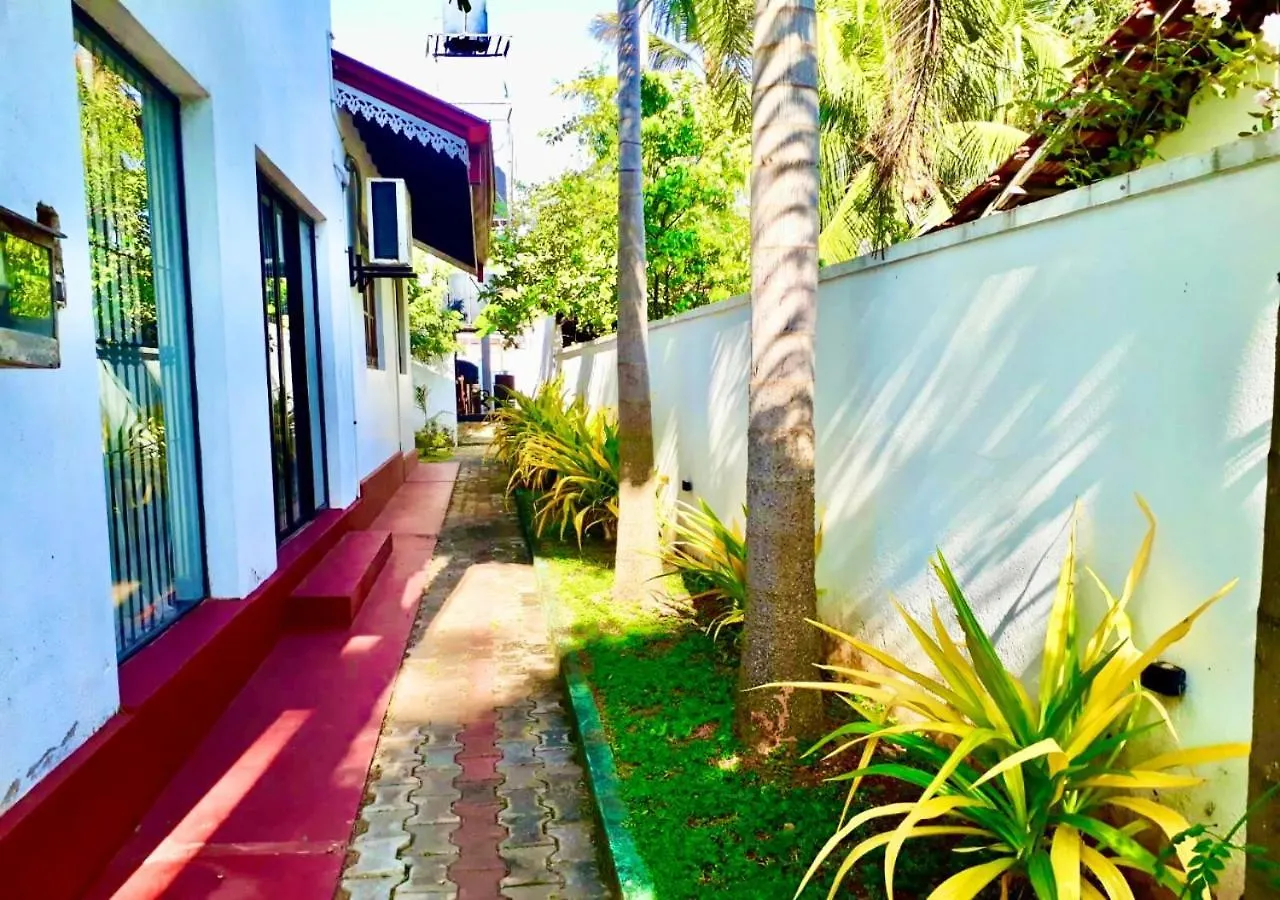 Ama Villa Негомбо Шри-Ланка